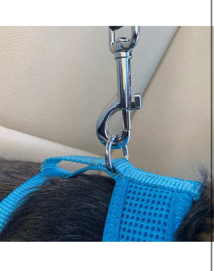 Sakura Dog Seat Belt Travel Strap | SS5491, Universal Fitting,