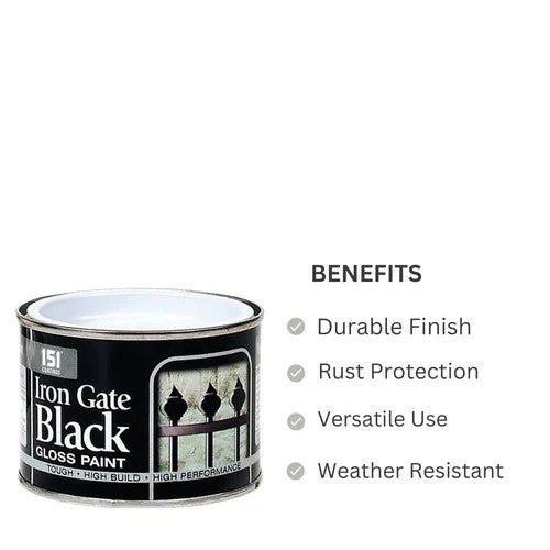 151 Coatings High Performance Iron Gate Black Gloss Paint 180ML