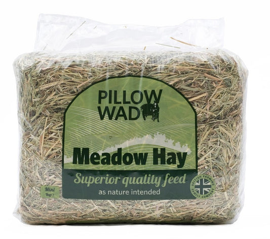Pillow Wad Premier Small Animal Barley Straw Mini 1kg 123968