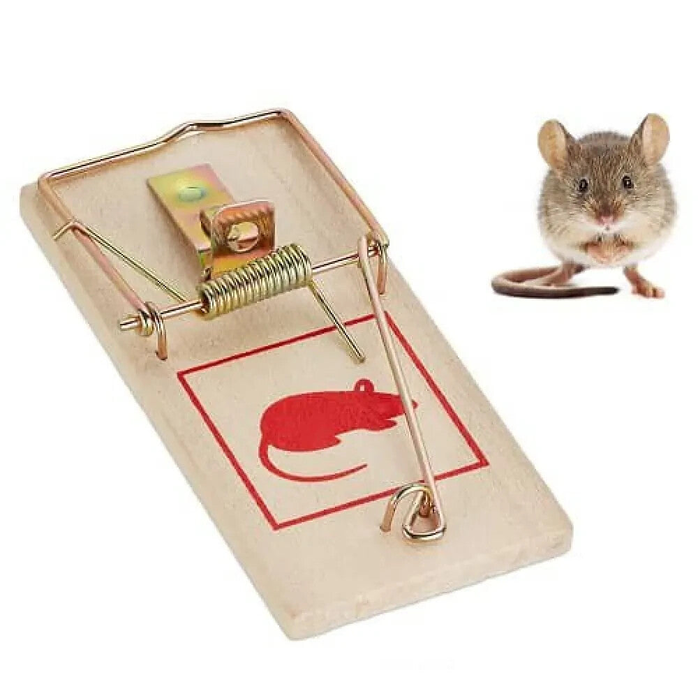 Mouse Traps Pest Control