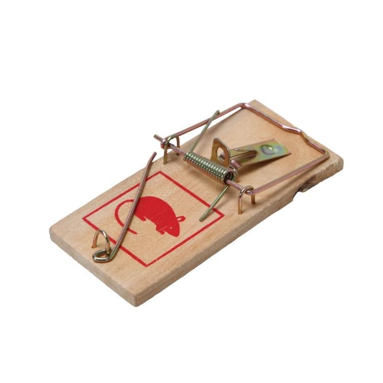 Mouse Traps Pest Control