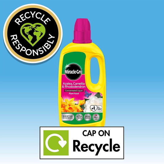 Miracle Gro Azalea Camellia Rhododendron Liquid Concentrated Plant Food 800ml