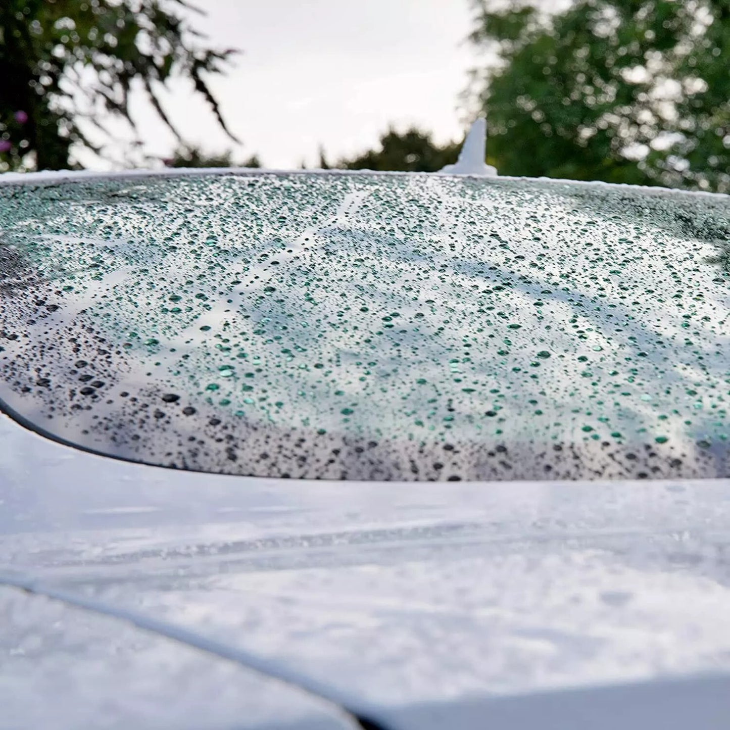 Proffesional Car Detailing  - Wash & Wax set with Carnauba Protection 75 Washes