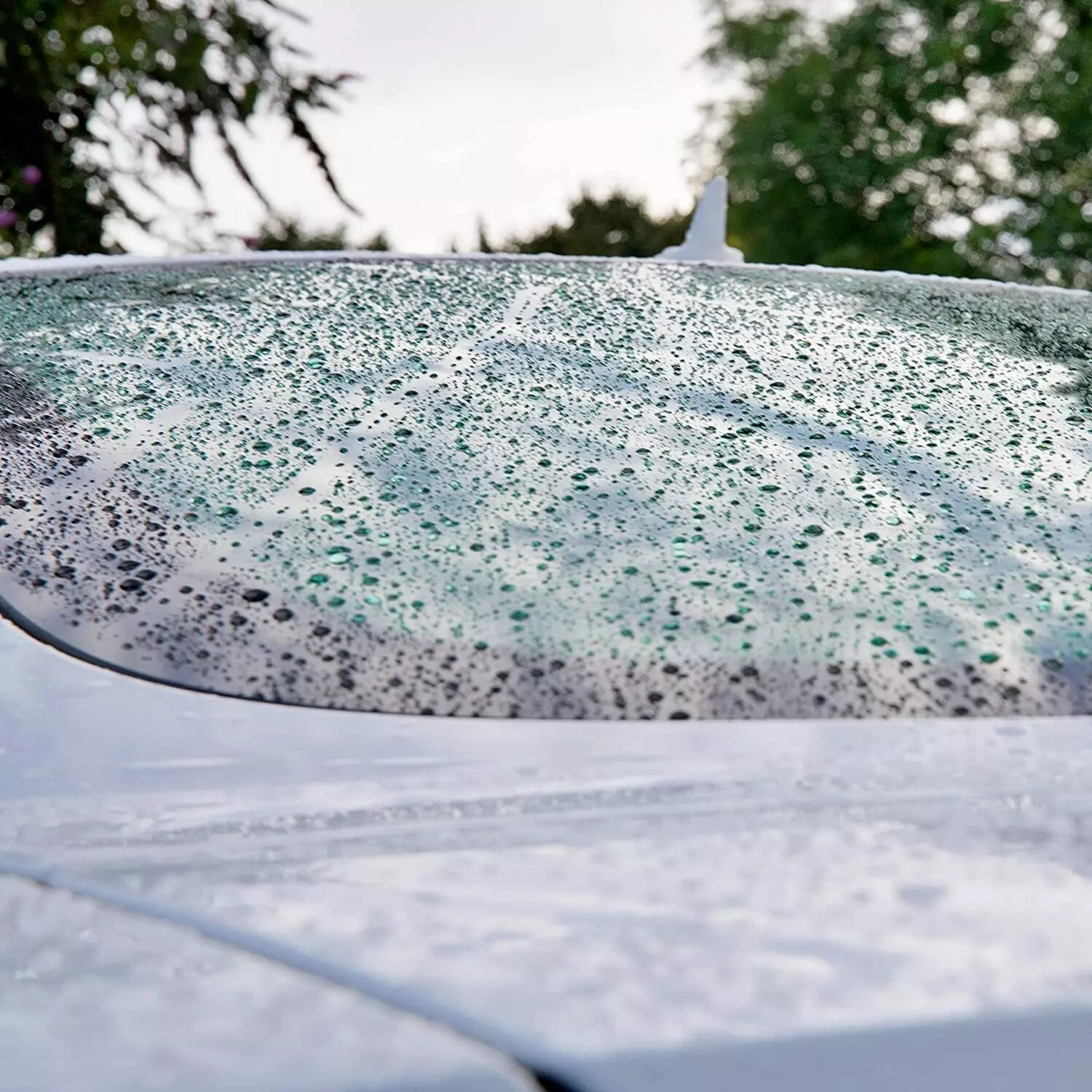 Proffesional Car Detailing  - Wash & Wax set with Carnauba Protection 75 Washes